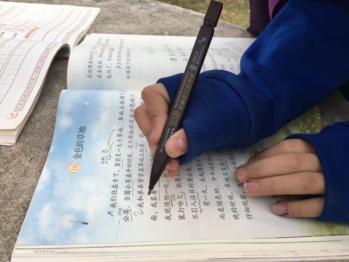 Chinese Summer Camp